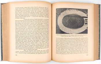 Berty Ženatý: Země pruhů a hvězd