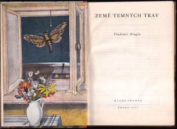 Vladimir Grigor'jevič Bragin: Země temných trav