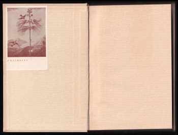 John Hodgdon Bradley: Země vypravuje
