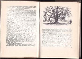 Ladislav Stehlík: Země zamyšlená