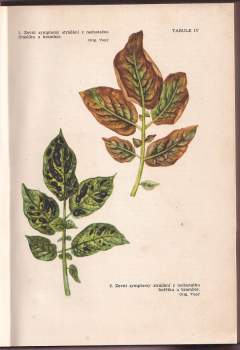 Jaroslav Benada: Zemědělská fytopatologie