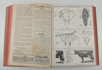 Antonín Kolárský: Zemědělské listy, ROČNÍK XV., číslo 1-42 + Věstník Ústřední jednoty českých hospodářských společenstev
