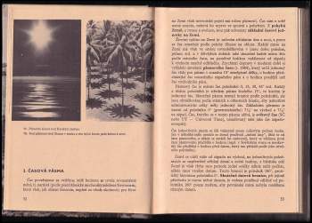 Alois Obermann: Zeměpis pro 4. ročník gymnasií