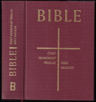 Miroslav Oravecz: Zemí Bible 2009