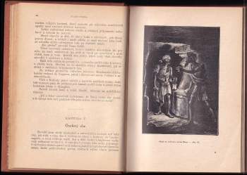 Jules Verne: Zemí šelem
