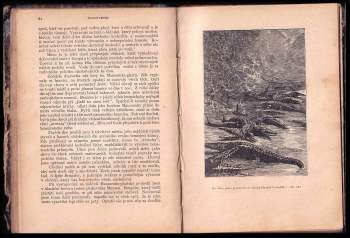 Jules Verne: Zemí šelem