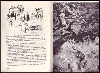 Jules Verne: Zemí šelem
