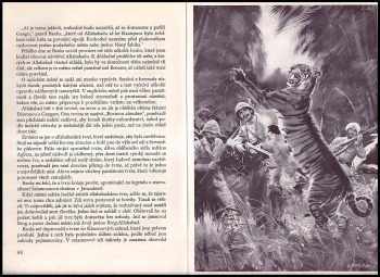 Jules Verne: Zemí šelem