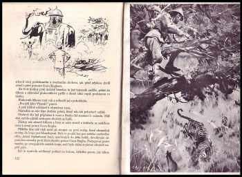Jules Verne: Zemí šelem
