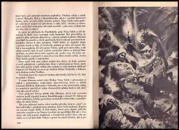 Jules Verne: Zemí šelem