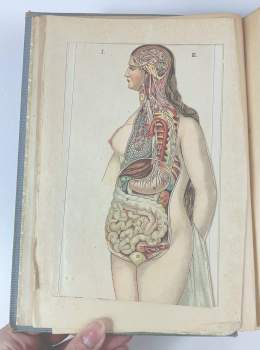 Anna Fischer-Dückelmann: Žena lékařkou