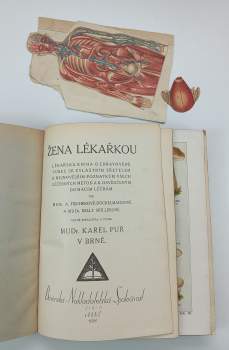 Anna Fischer-Dückelmann: Žena lékařkou