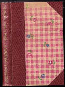 Žena v hnutí husitském