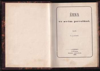 Věnceslava Lužická: Žena ve svém povolání