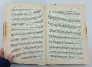 Clarissa Pinkola Estés: Ženy, které běhaly s vlky