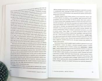 Claire M Renzetti: Ženy, muži a společnost