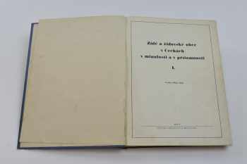 Židé a židovské obce v Čechách v minulosti a v přítomnosti
