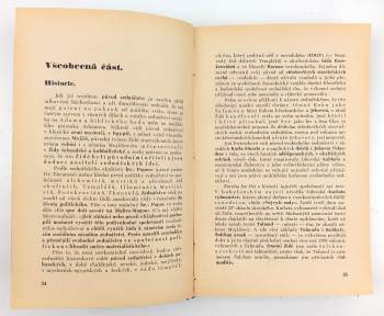 Jan Rys: Židozednářství - metla světa