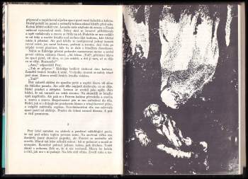 Radoslav Nenadál: Zima v kaňonu