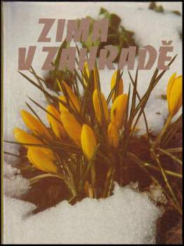 Josef Lehoučka: Zima v zahradě