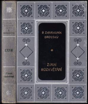 Zimní rozkvétání