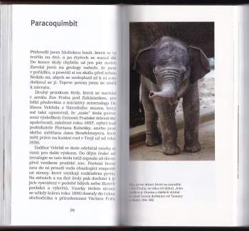 Žirafa na pondělí : ze zápisníku ředitele zoo