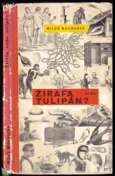 Žirafa nebo tulipán?