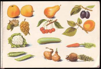 Bohuš Čížek: Živá abeceda