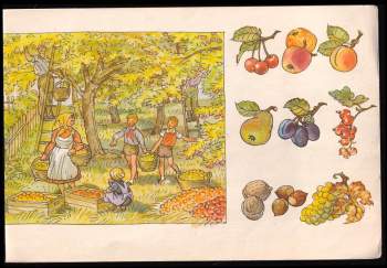 Jarmila Hřebejková: Živá abeceda