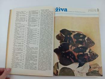 Oldřich Vilém Hykeš: Živa, KOMPLETNÍ ROČNÍK IV. (XLII)
