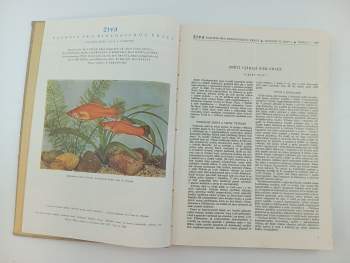Oldřich Vilém Hykeš: Živa, KOMPLETNÍ ROČNÍK VI. (XLIV)