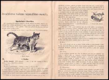 František Polívka: Živočichopis pro I. a II. třídu středních škol