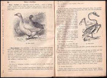 František Polívka: Živočichopis pro I. a II. třídu středních škol