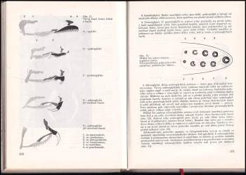 František Kornalík: Živočišné toxiny