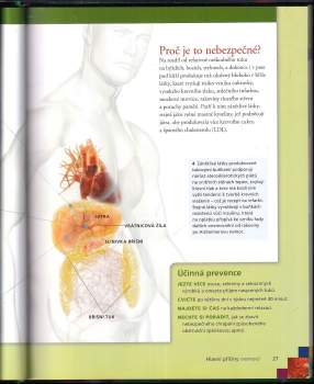 Debra L Gordon: Život bez nemocí