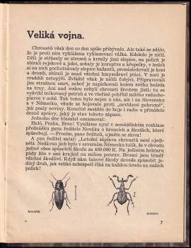 Jan Hostáň: Život broučků