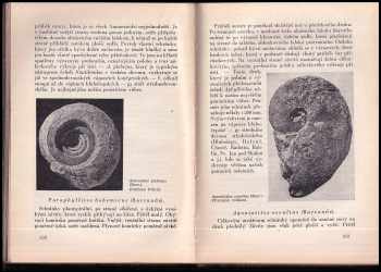 Ferdinand Prantl: Život českých pramoří