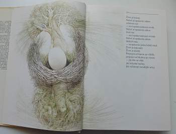 Emil Hadač: Život