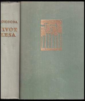 Život lesa