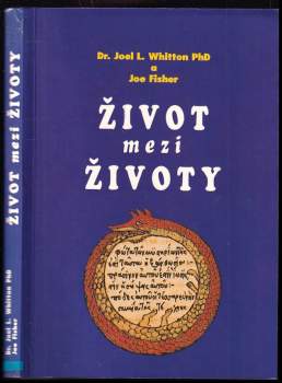 Život mezi životy
