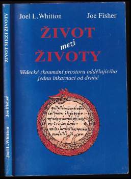 Život mezi životy