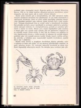 Richard Carrington: Život moří a oceánů