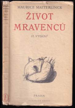 Život mravenců