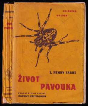 Život pavouka
