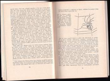 John Crompton: Život pavouka