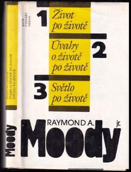 Život po životě ; Úvahy o životě po životě ; Světlo po životě