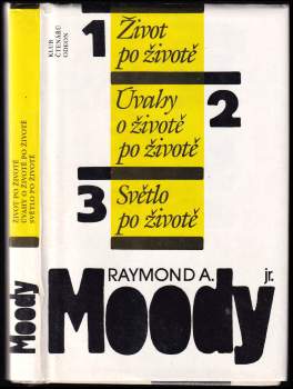 Život po životě ; Úvahy o životě po životě ; Světlo po životě