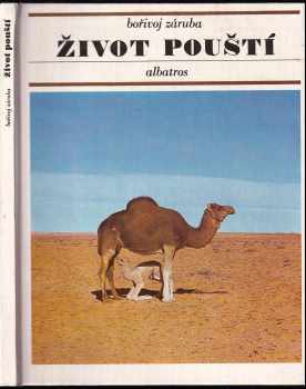 Bořivoj Záruba: Život pouští