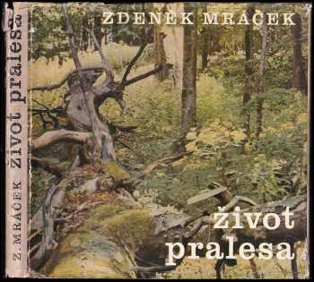Život pralesa