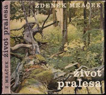 Život pralesa